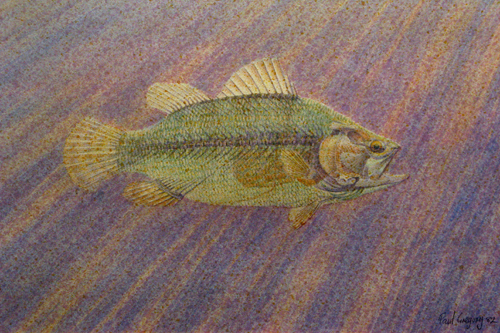 fish 1